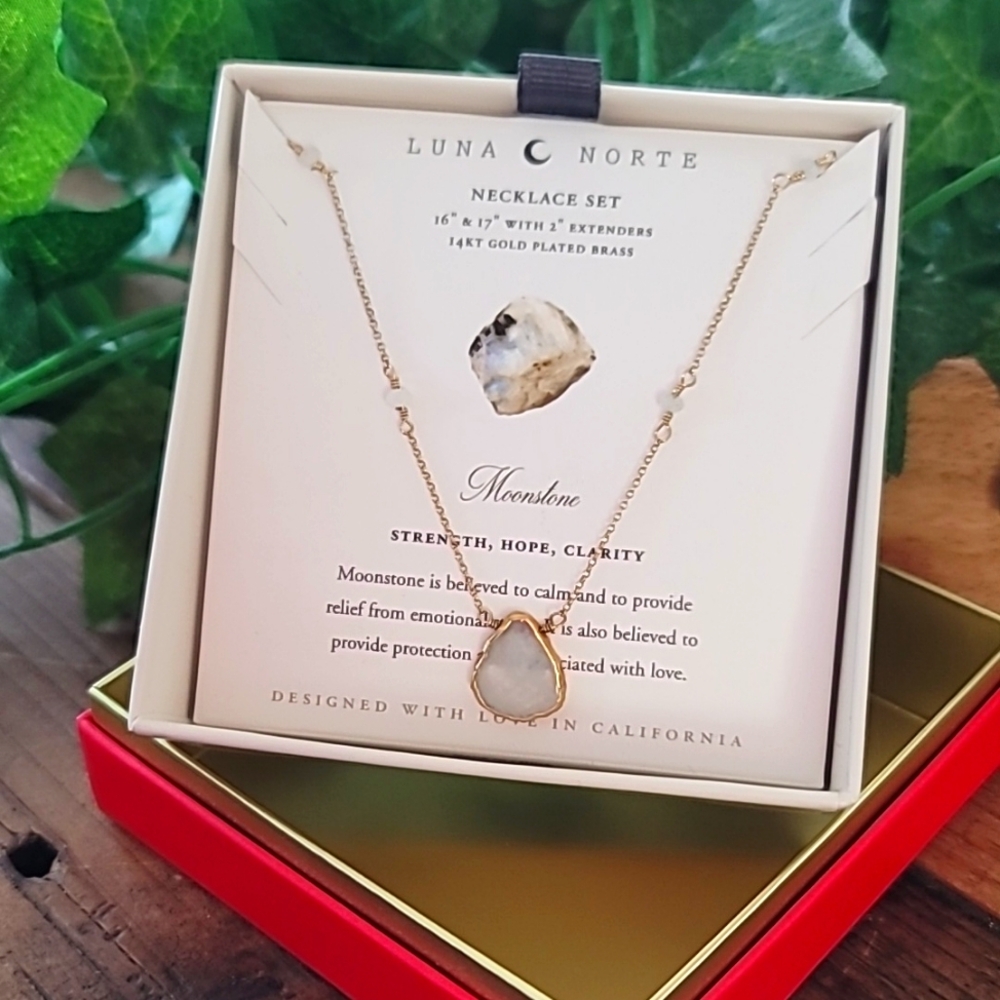 Luna Norte 🌙 Moonstone Necklace
